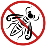 Experts désinsectisation en Charente – Intervention rapide